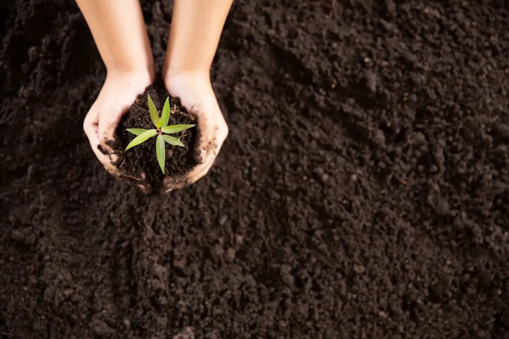 EFSA: „Őrizd meg a növények egészségét, és védd az életet”