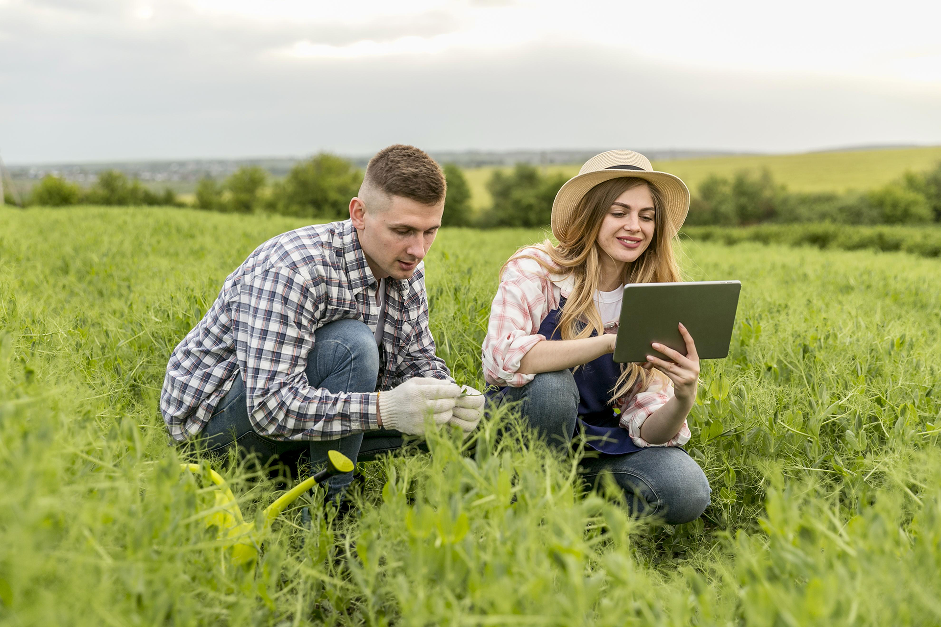 Áttörést hozhat a mesterséges intelligencia az agrár-erőforrások hatékonyabb kiaknázásában