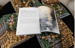 kepernyofoto 2026 01 30 14.18.31