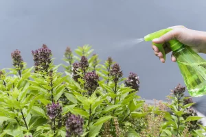 a hamis növényvédő szerek veszélyeire hívja fel a figyelmet a nébih