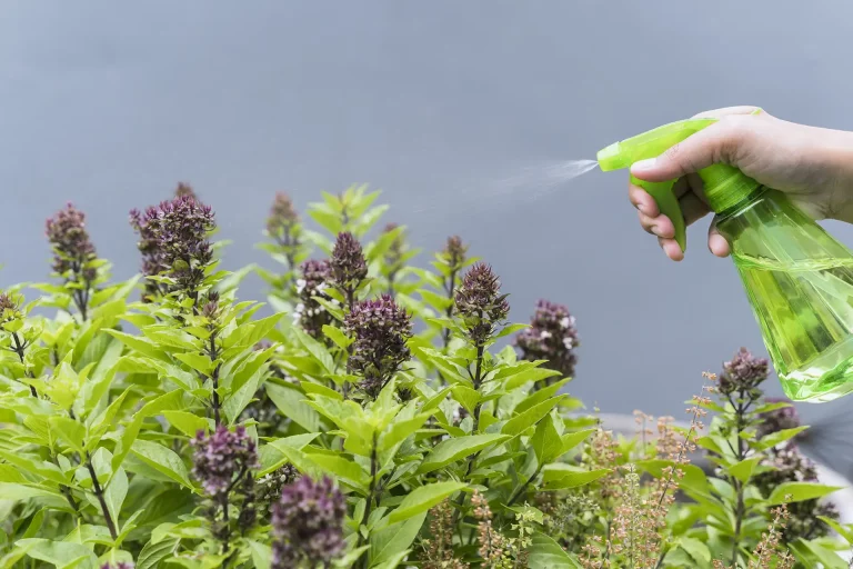 a hamis növényvédő szerek veszélyeire hívja fel a figyelmet a nébih